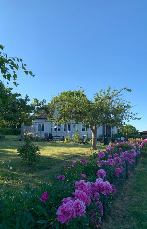 Villagatan Norrtälje Exterior foto